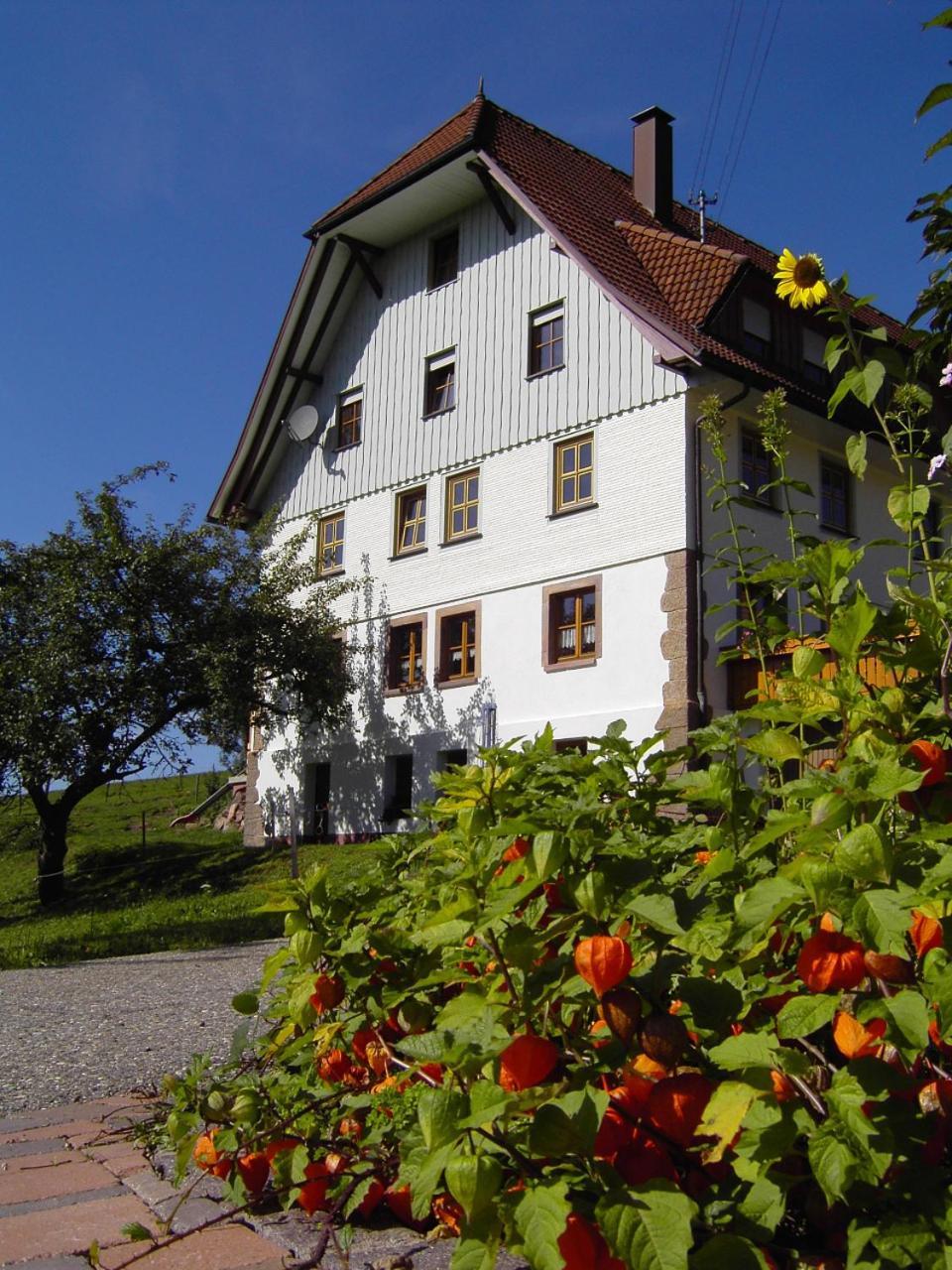 Fehrenbacherhof Naturgaestehaus Lauterbach  Zewnętrze zdjęcie